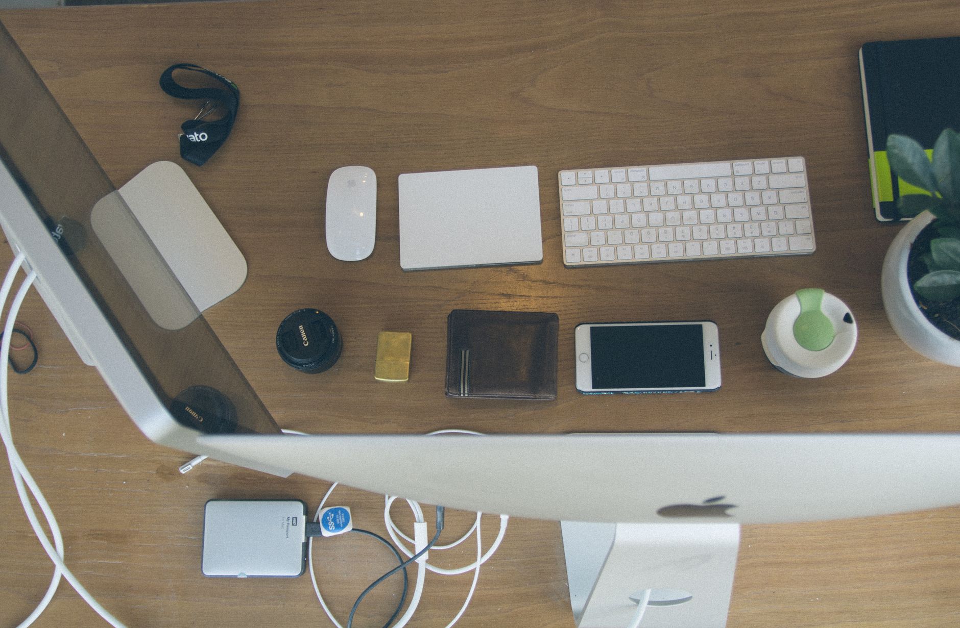 One Font to Rule Them All: How Variable Fonts are Revolutionizing Web Performance and Design